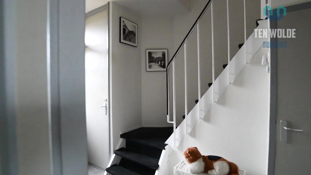 Video van Thedingecamp 3