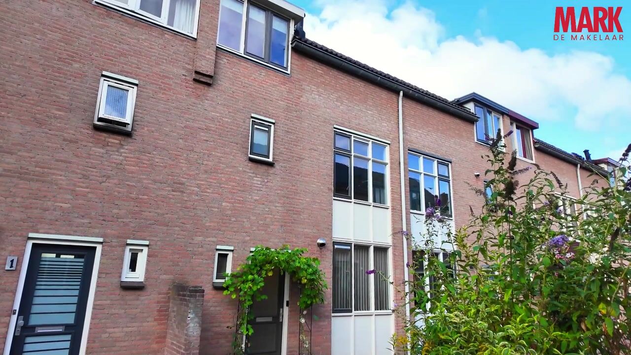 Video van Vizier 3
