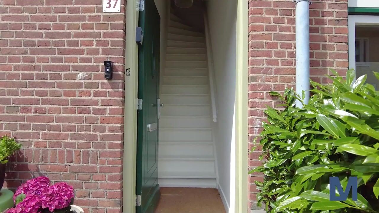 Video of Ganzenweg 37