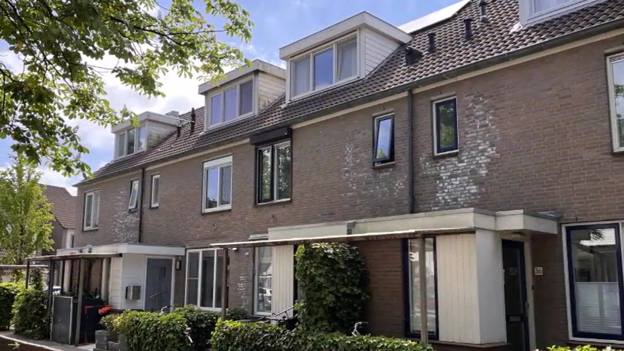 Video van Swanevelt 40