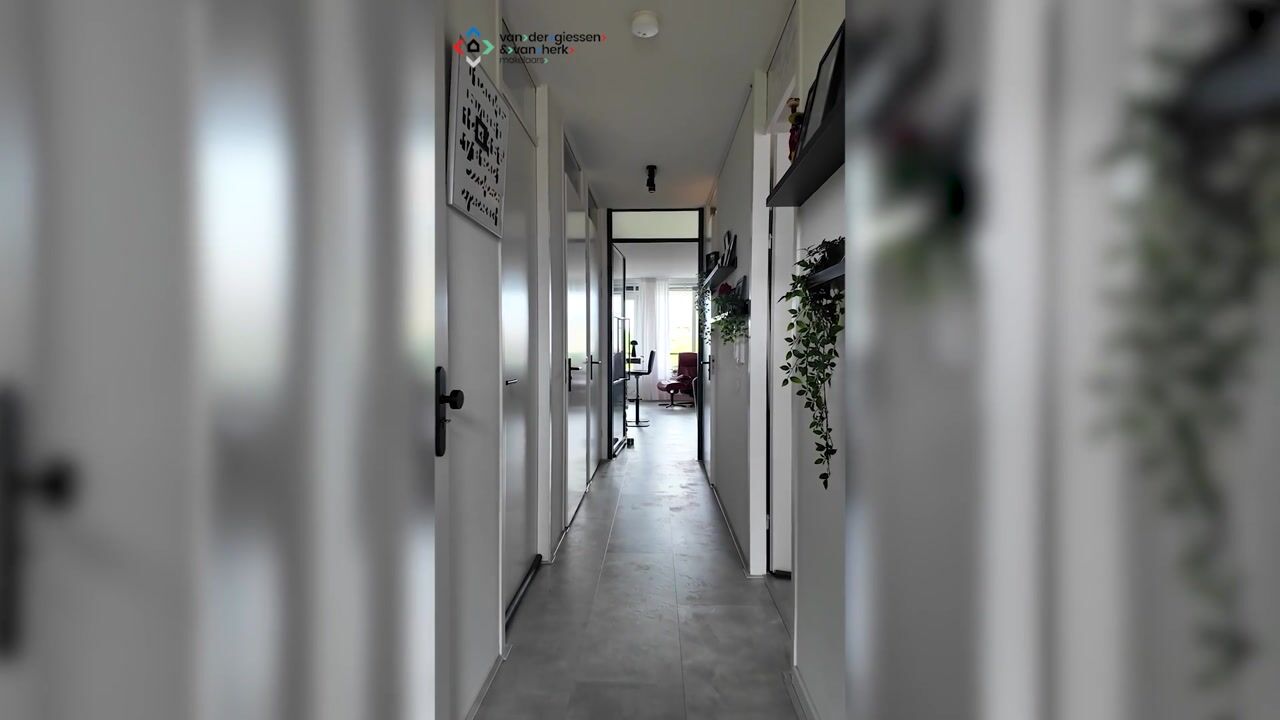 Video of Cipreshout 44