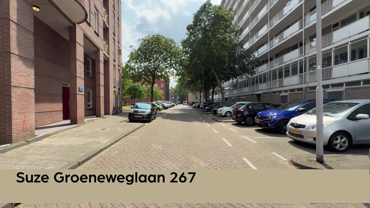 Video van Suze Groeneweglaan 267