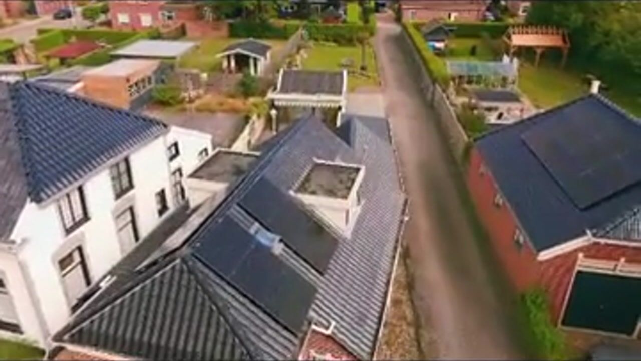 Video van Goldhoorn 5
