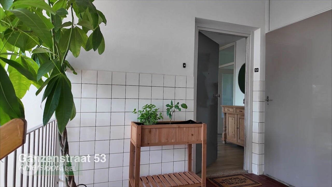 Video van Ganzenstraat 53
