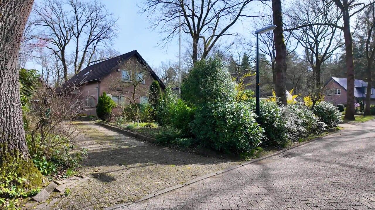 Video van Rhienderstein 15