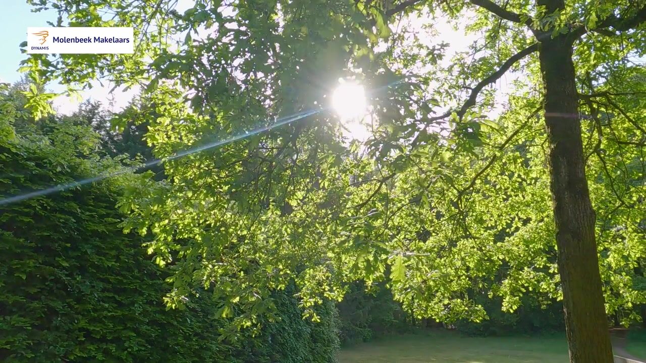 Video van Beukenburgerlaan 65