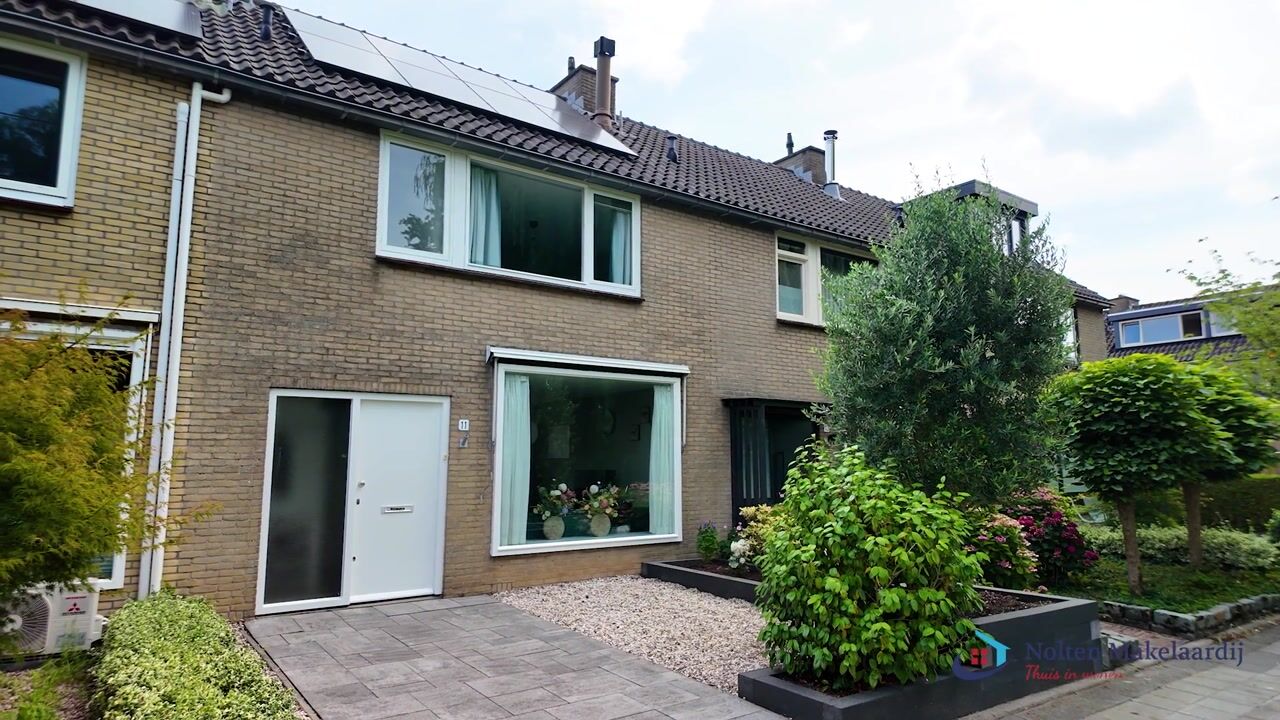 Video van Korenbloem 11