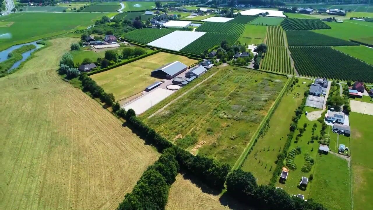 Video van Rijsakkerweg 14