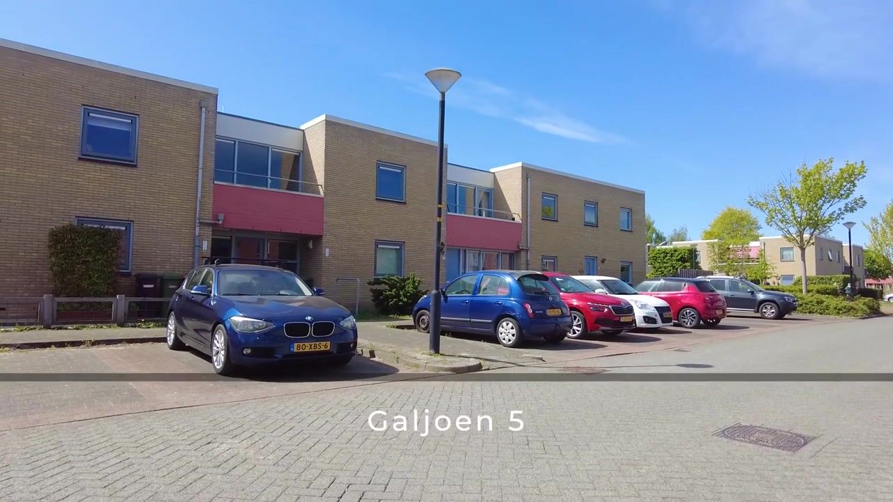 Video of Galjoen 5