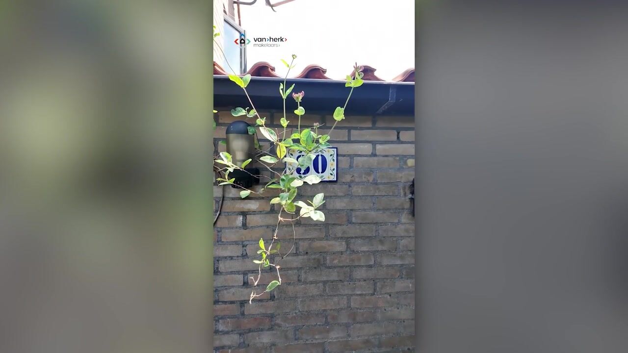 Video van Toldijk 30