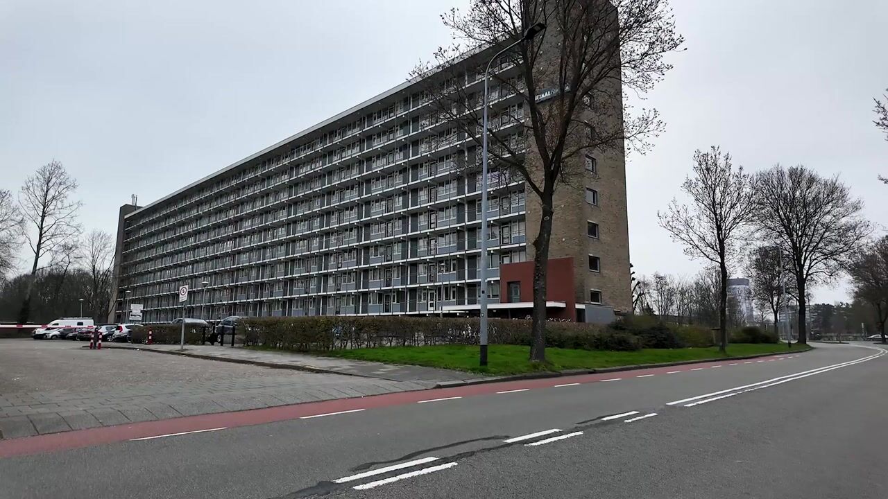 Video van Metaallaan 219