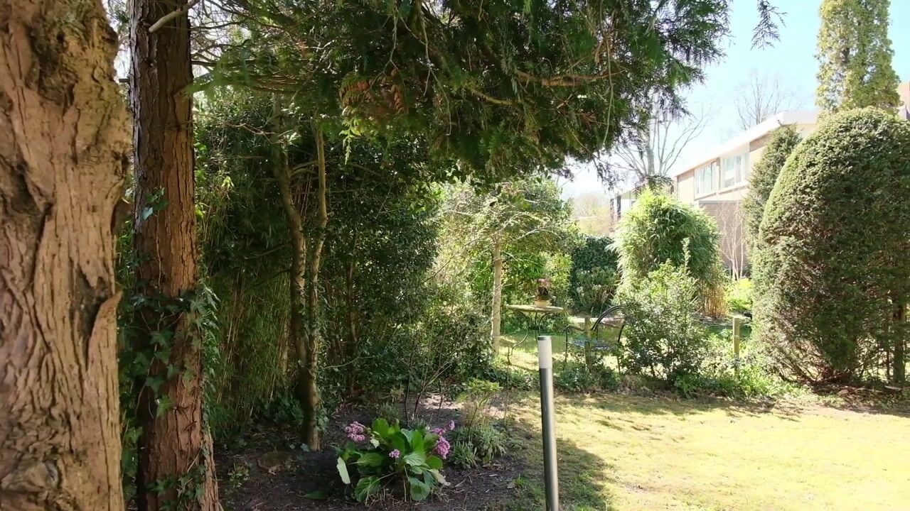 Video van Prins Bernhardlaan 45