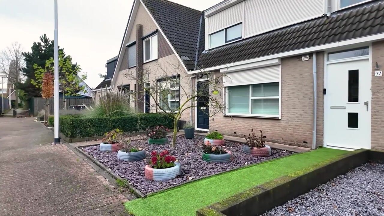 Video van Megenstraat 77