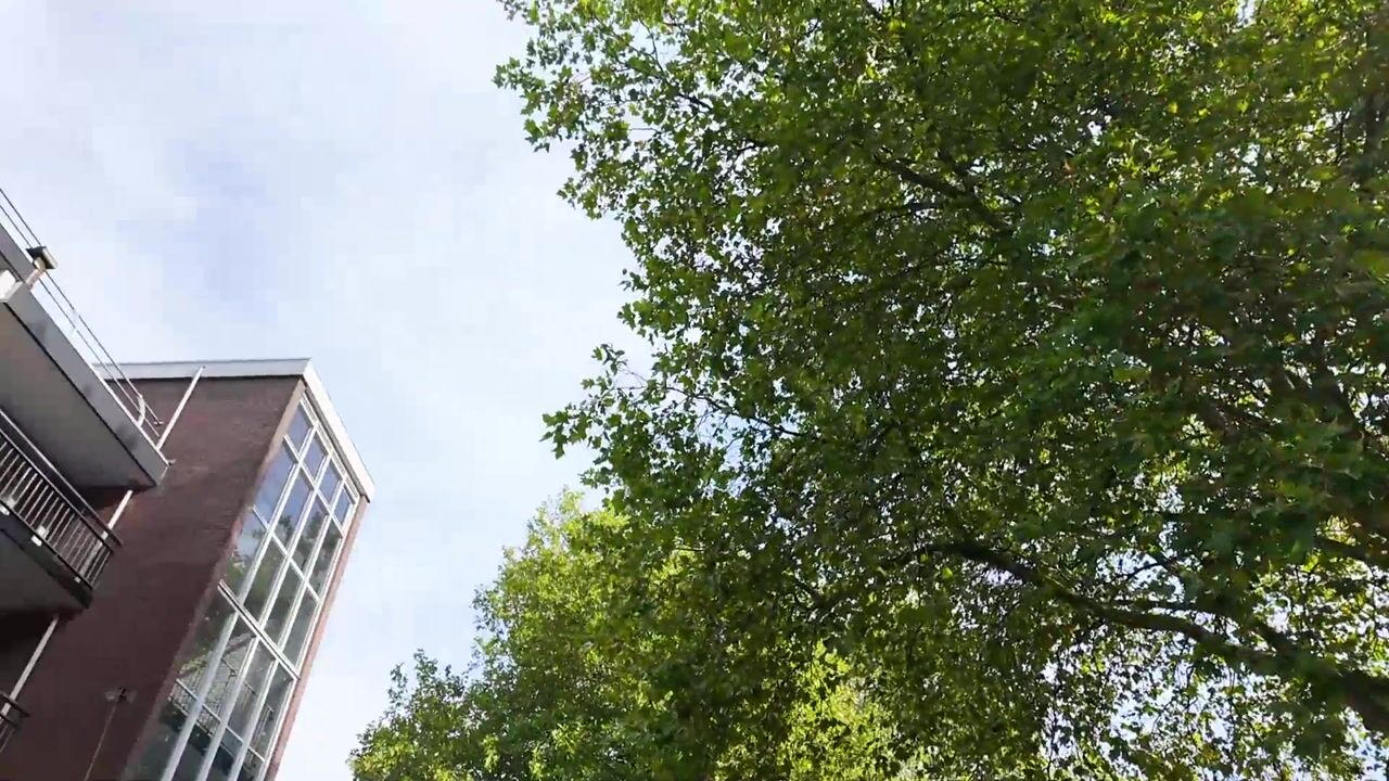 Video van Orionsingel 56