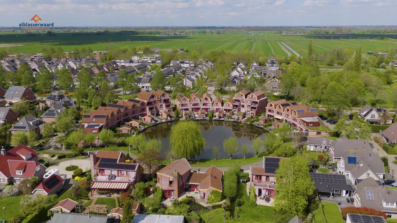 Video of Knobbelzwaan 4