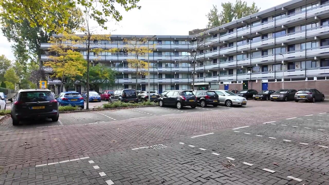 Video van Wilde Wingerdlaan 171