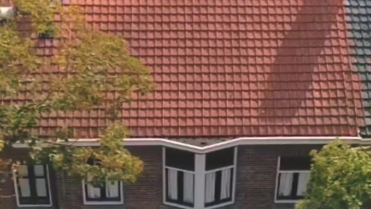 Video van Korenbloemstraat 58