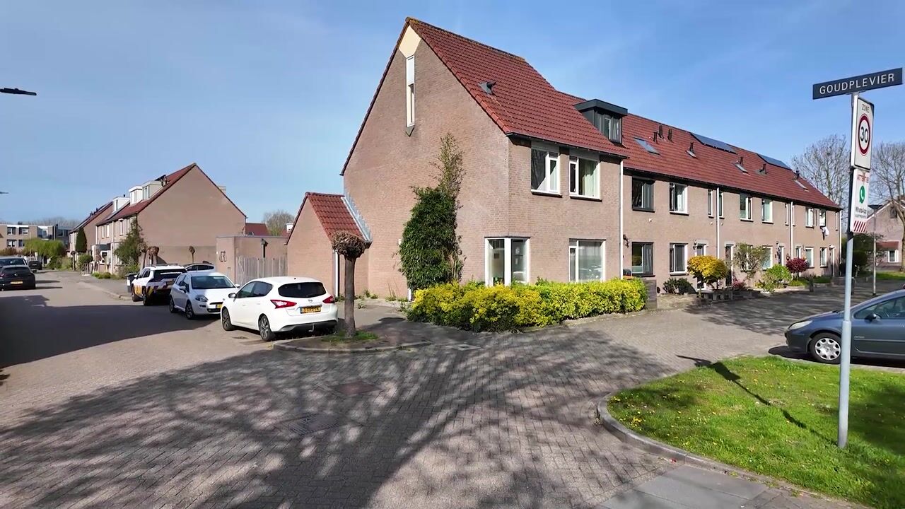 Video van Goudplevier 14