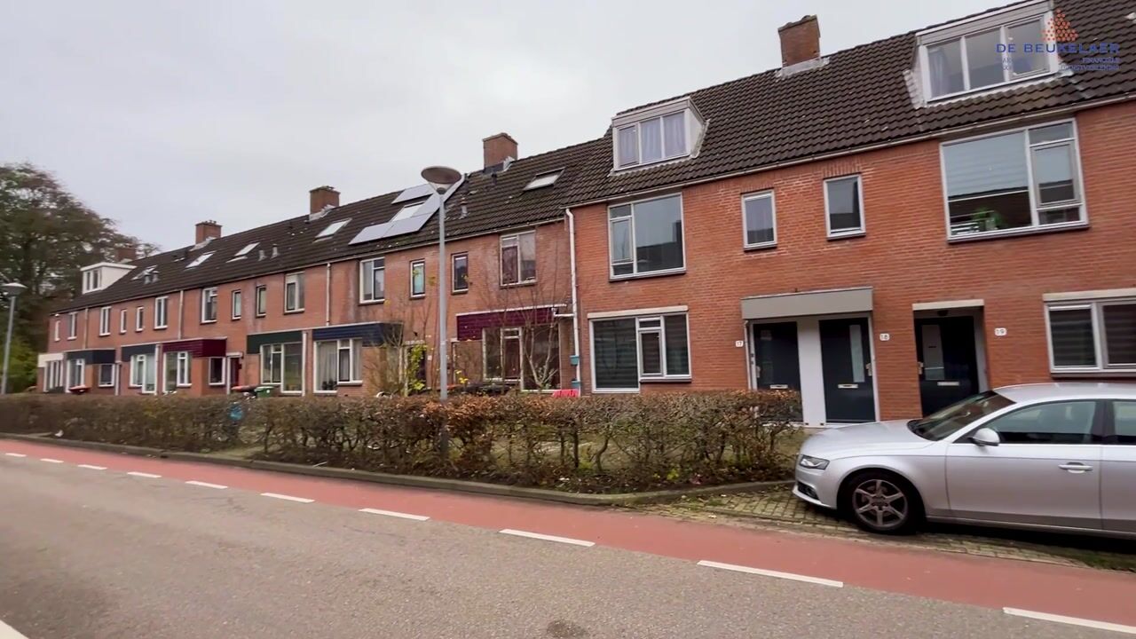 Video of Paardebloem 18