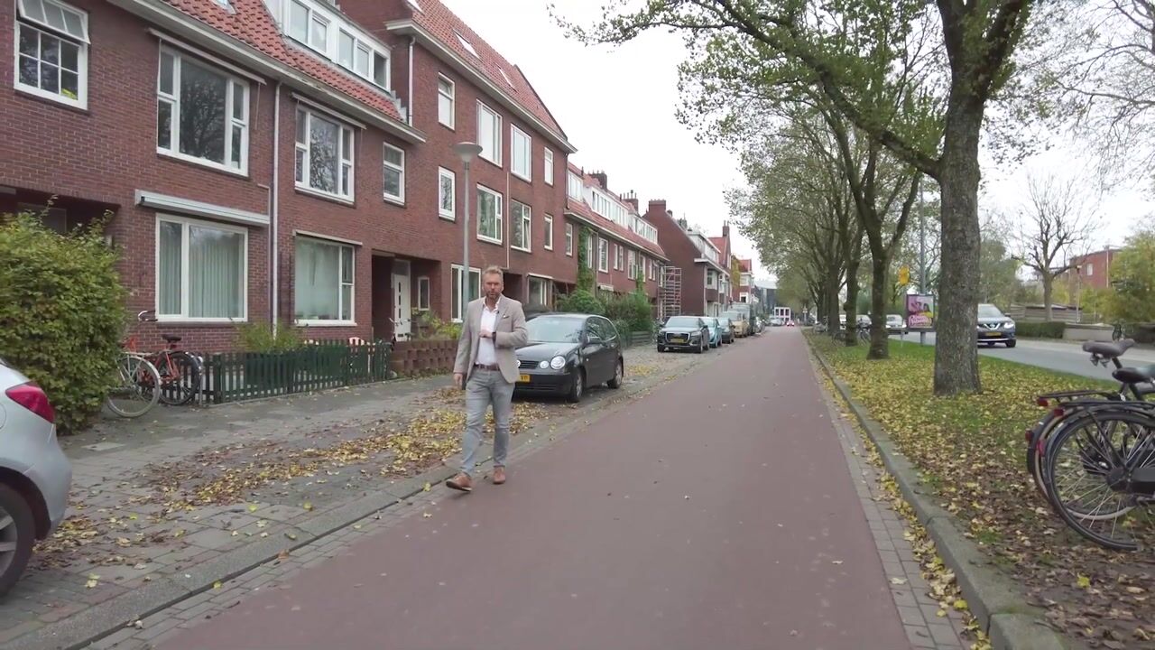 View video of Hoendiep 81