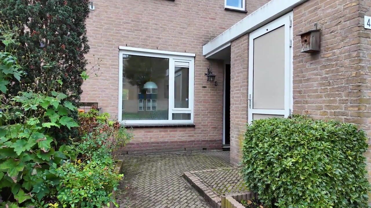 Video van De Brink 4