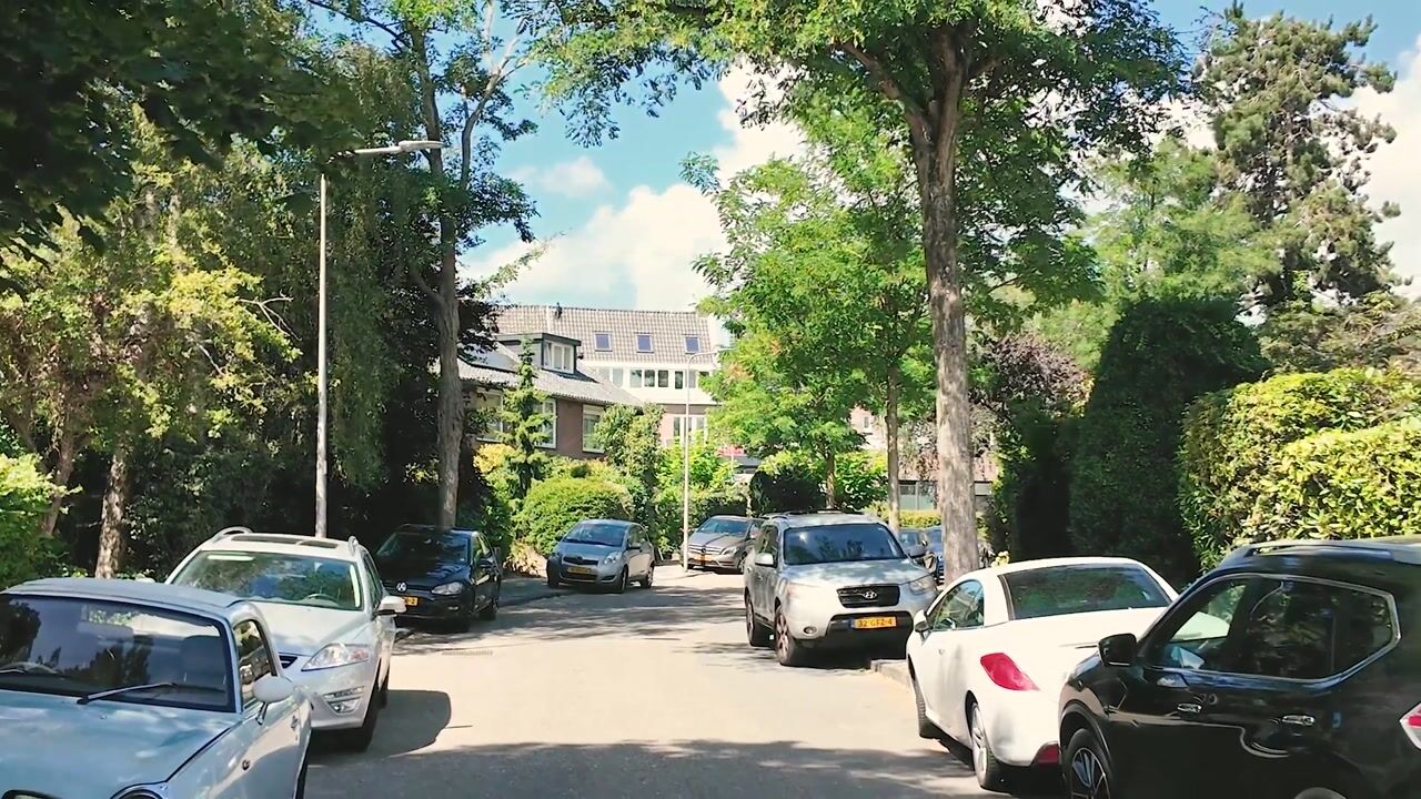 Video van Jan Willem Frisolaan 17