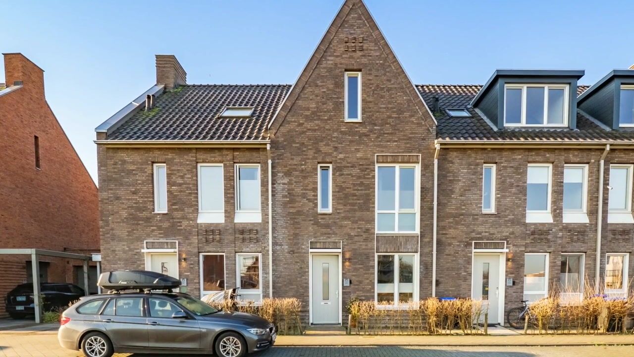 Video of Wilde rucolavliet 105