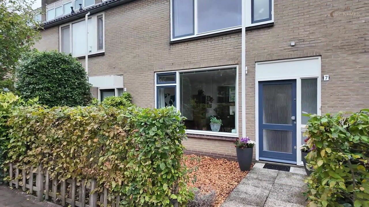 Video of Quitodreef 7