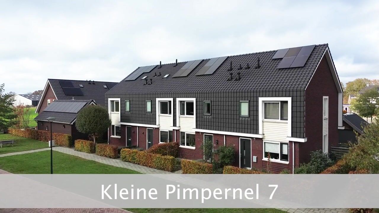 Video of Kleine Pimpernel 7