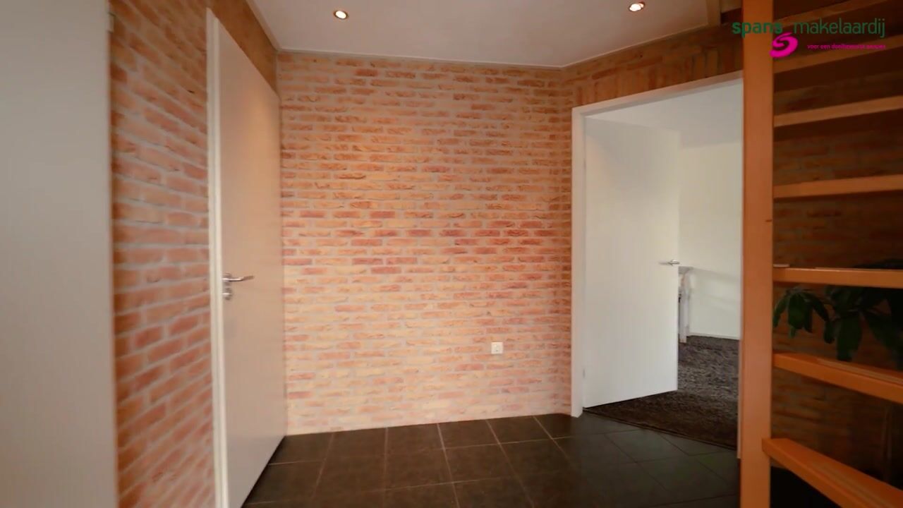 Video of Reggeland 4