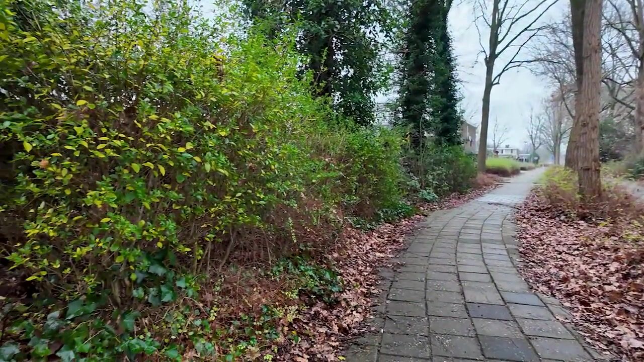 Video of Heckningecamp 35