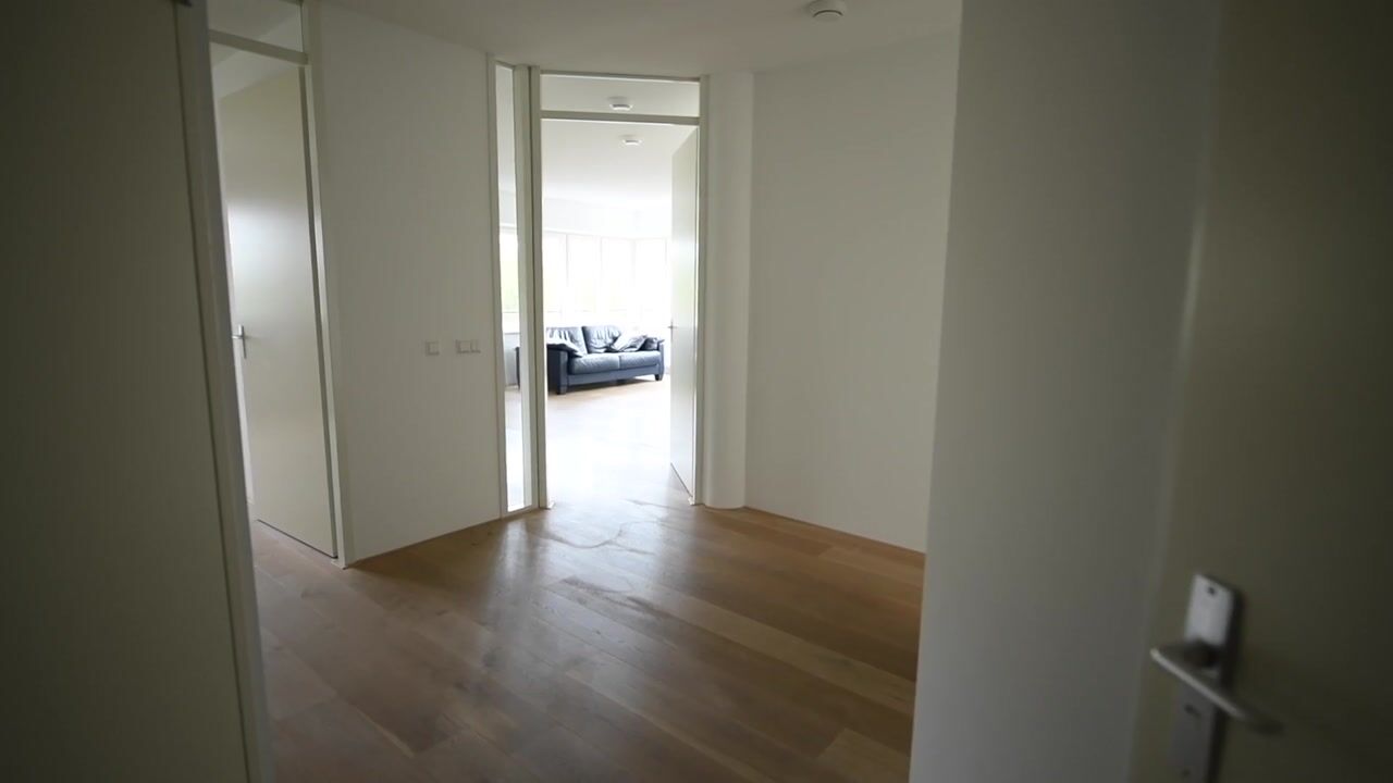 Video of Frans Hals 9