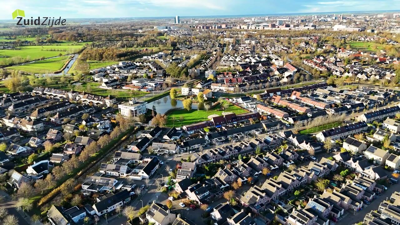 Video of Citroenvlinder 19