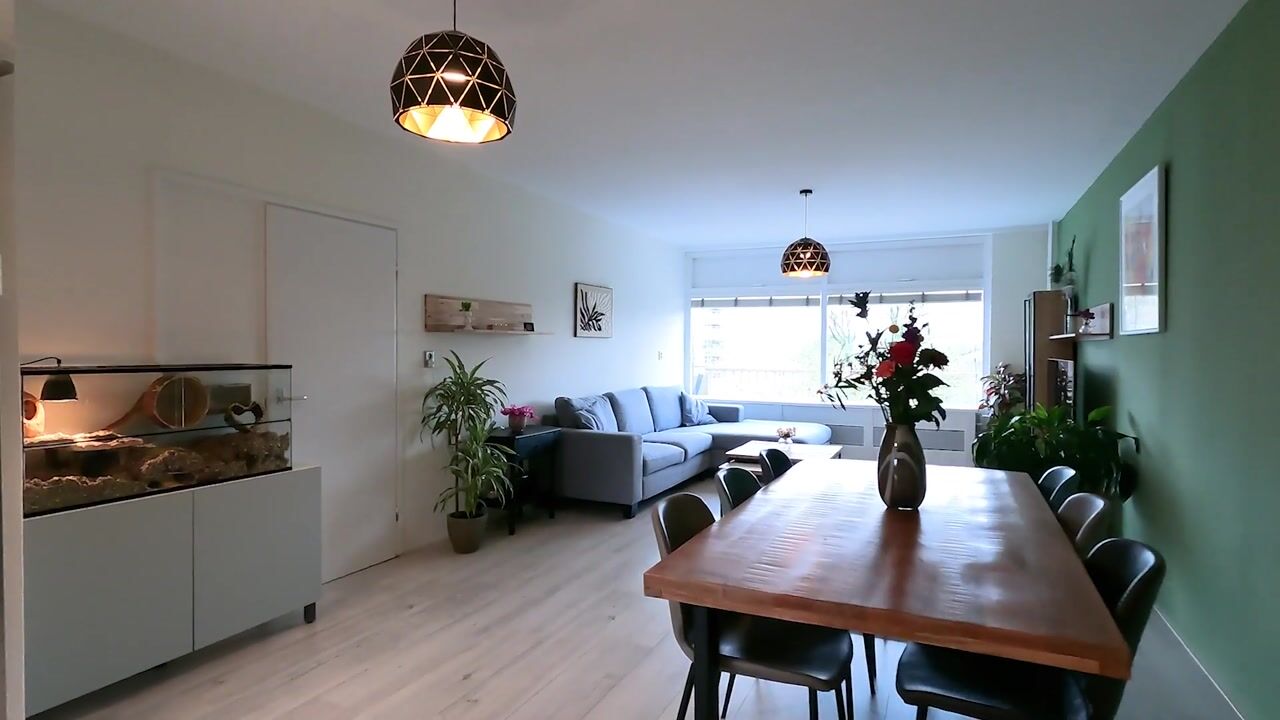 Video of Jagersbos 104