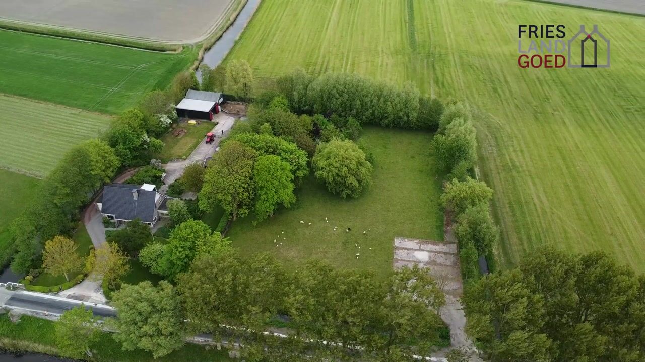 Video of Hege Hearewei 2