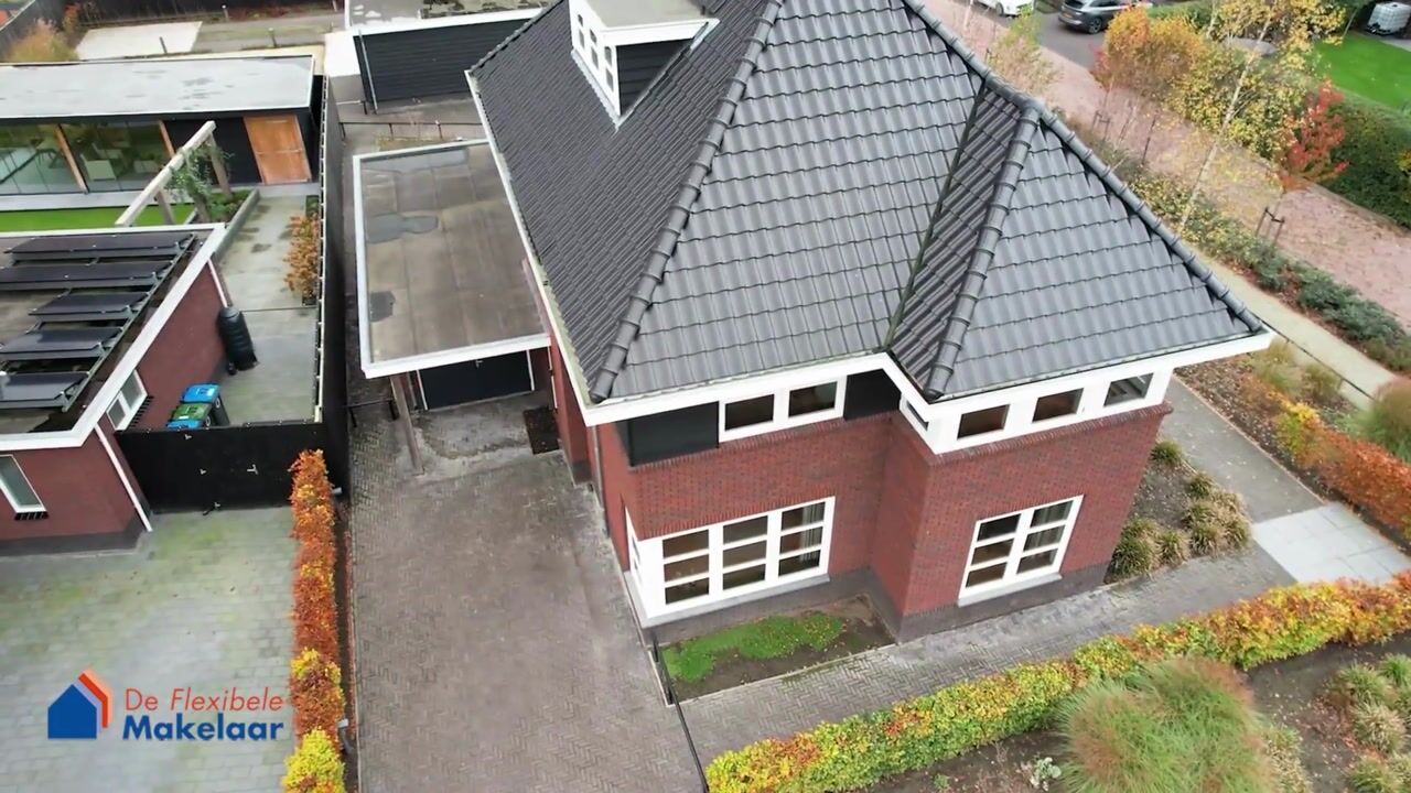 Video of Zilverschoon 80