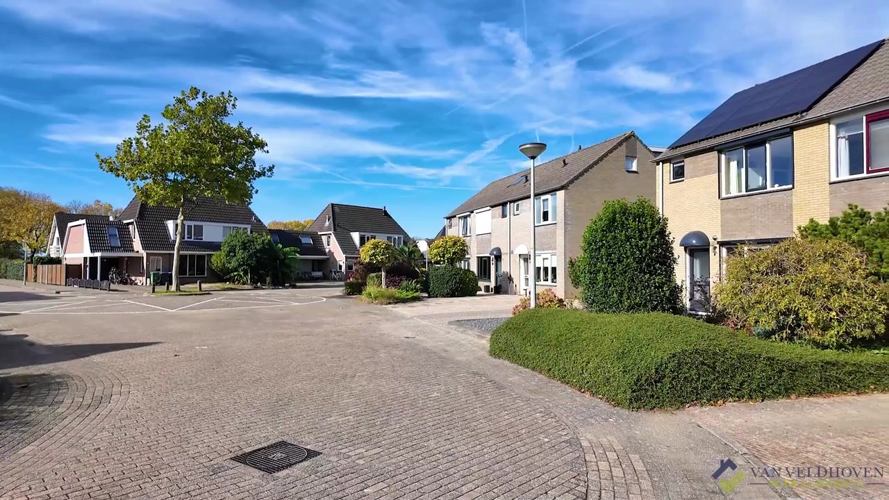 Video van Pietje Baltusstraat 21