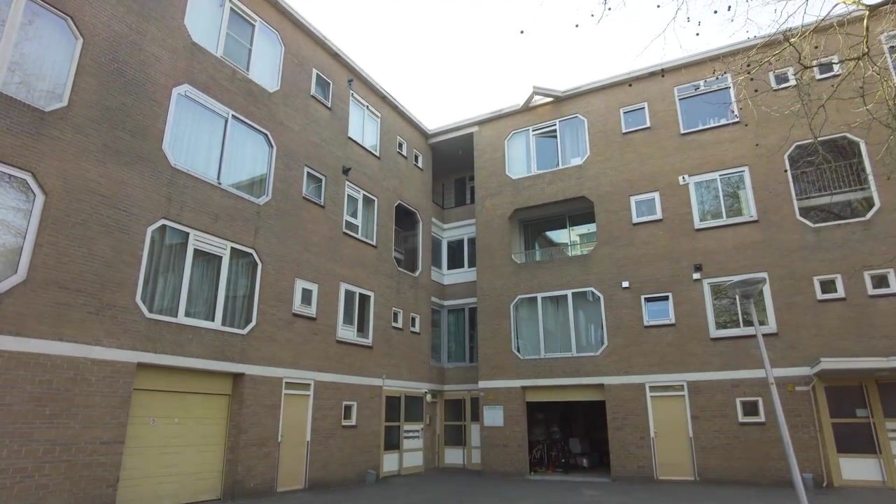 Video van Meander 297