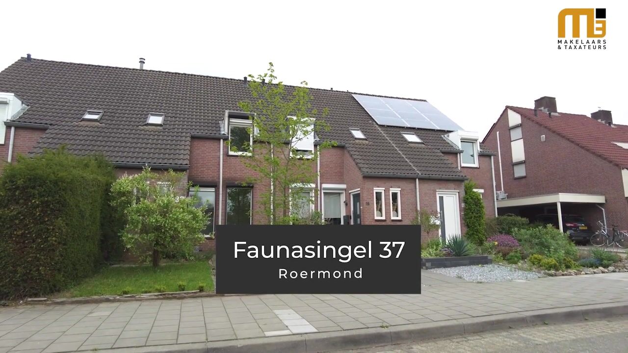 Video of Faunasingel 37