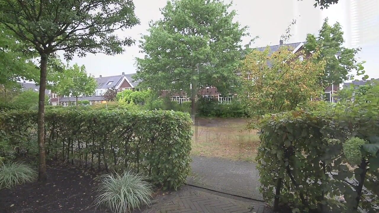 Video van Leembergerhout 24