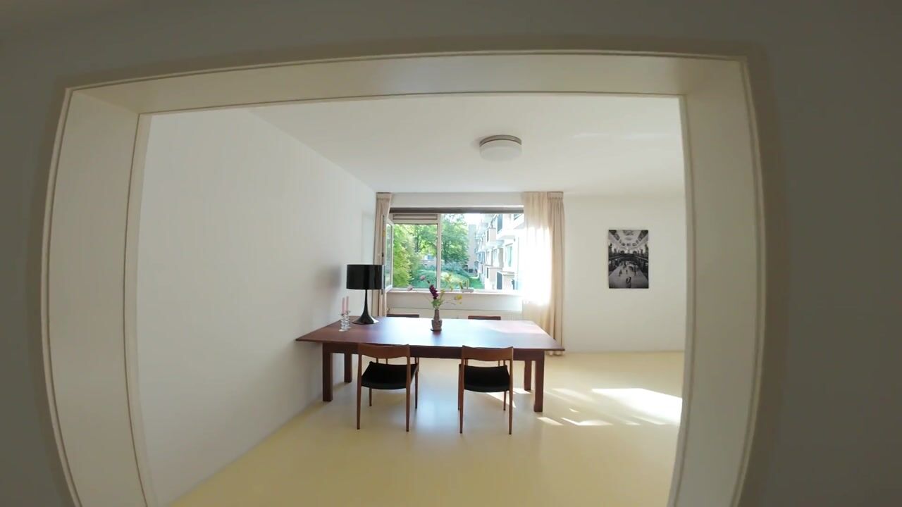 Video van Wildenborch 8