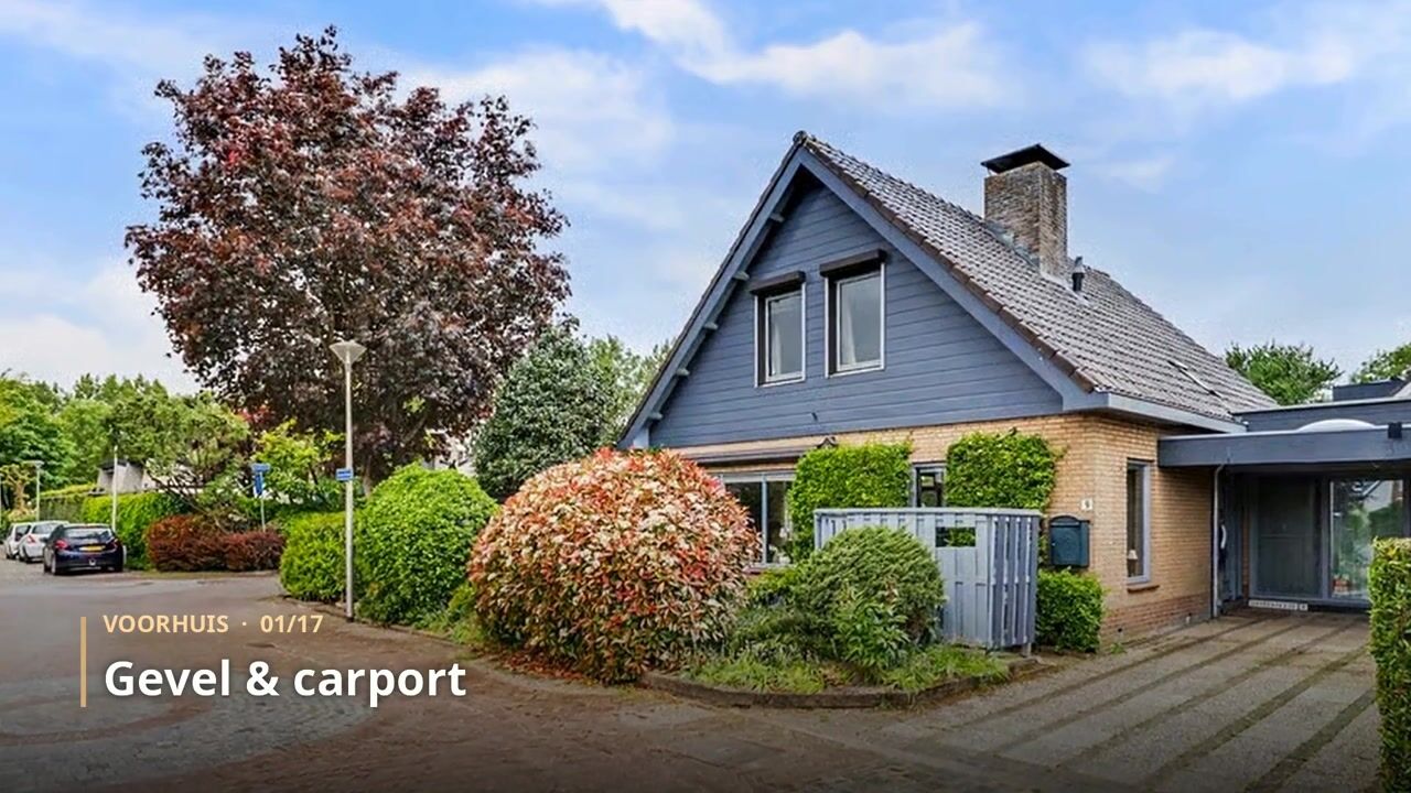 Video of Buizerdstraat 9