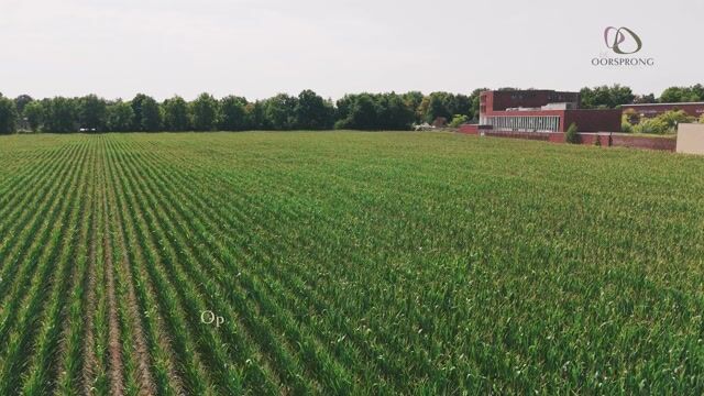 Bekijk video van De Oorsprong - VERKOOP GESTART