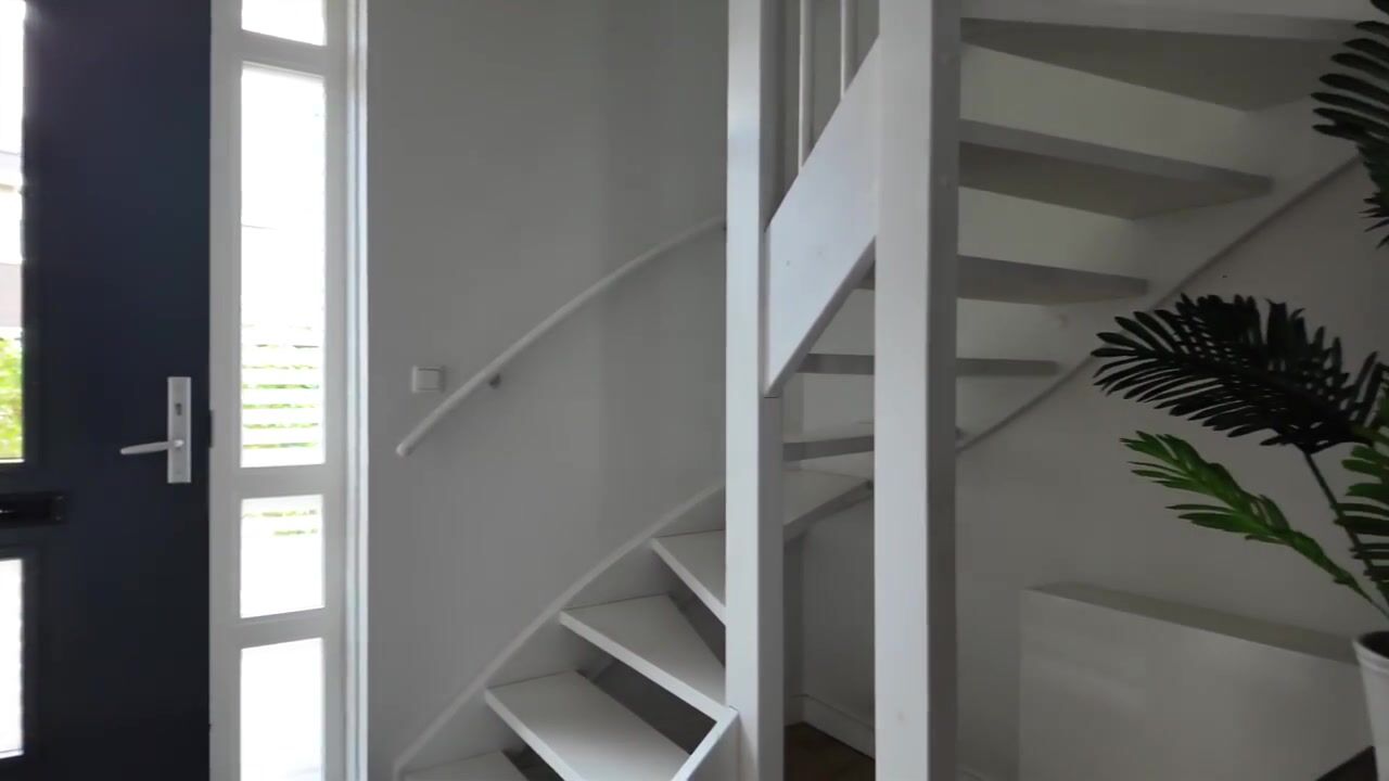 Video van Grote Vuurvlinder 3