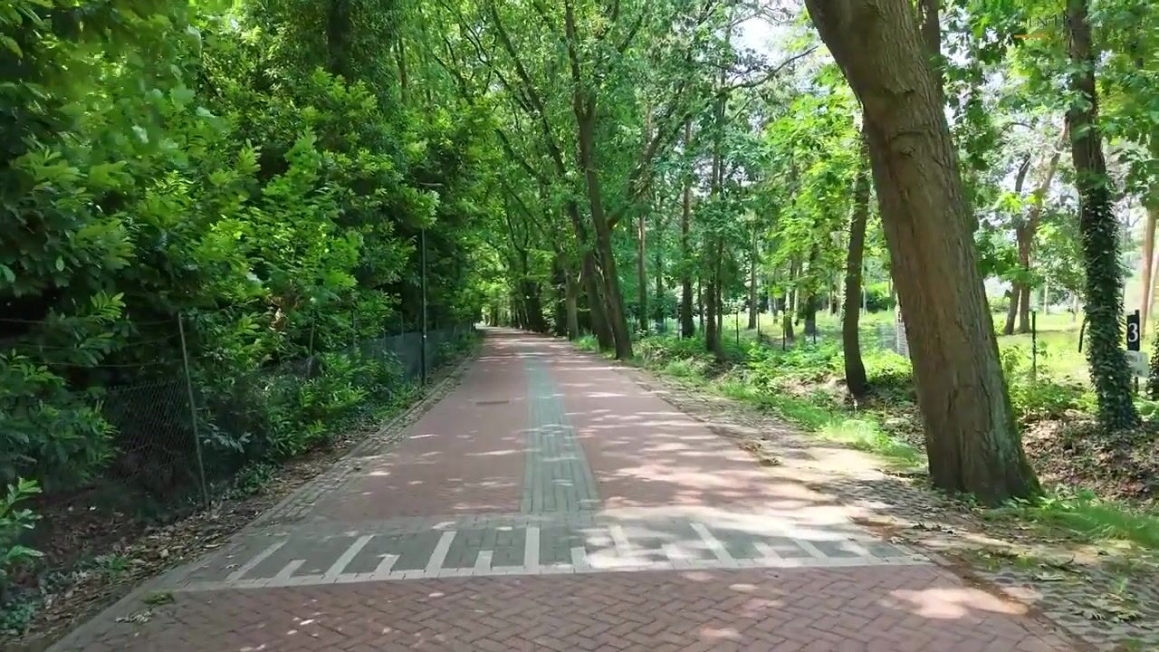 Video of Jagersboschlaan