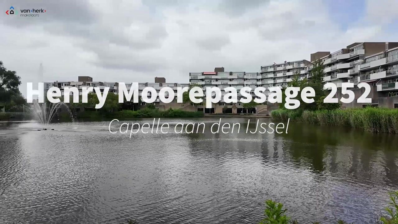 Video van Henry Moorepassage 252