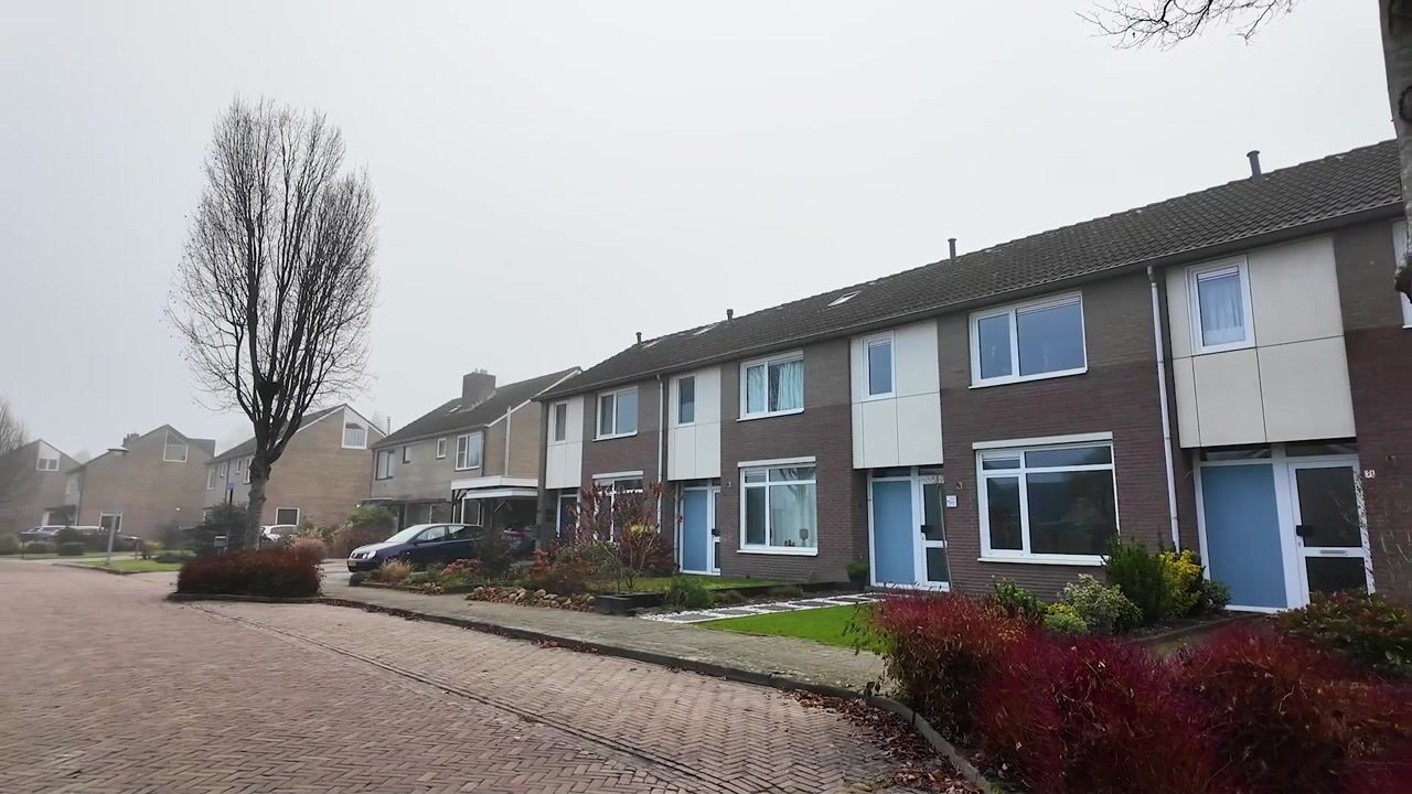 Video of Flintenpad 69