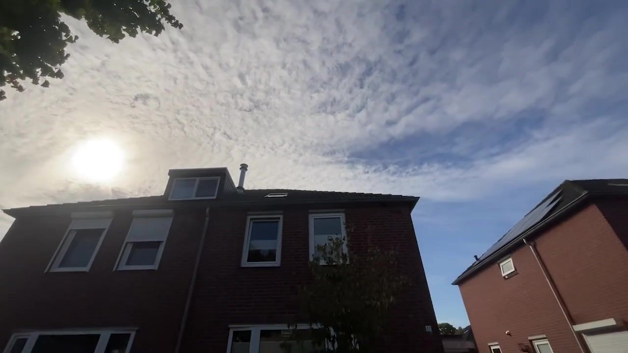 Video van Steffenberg 87