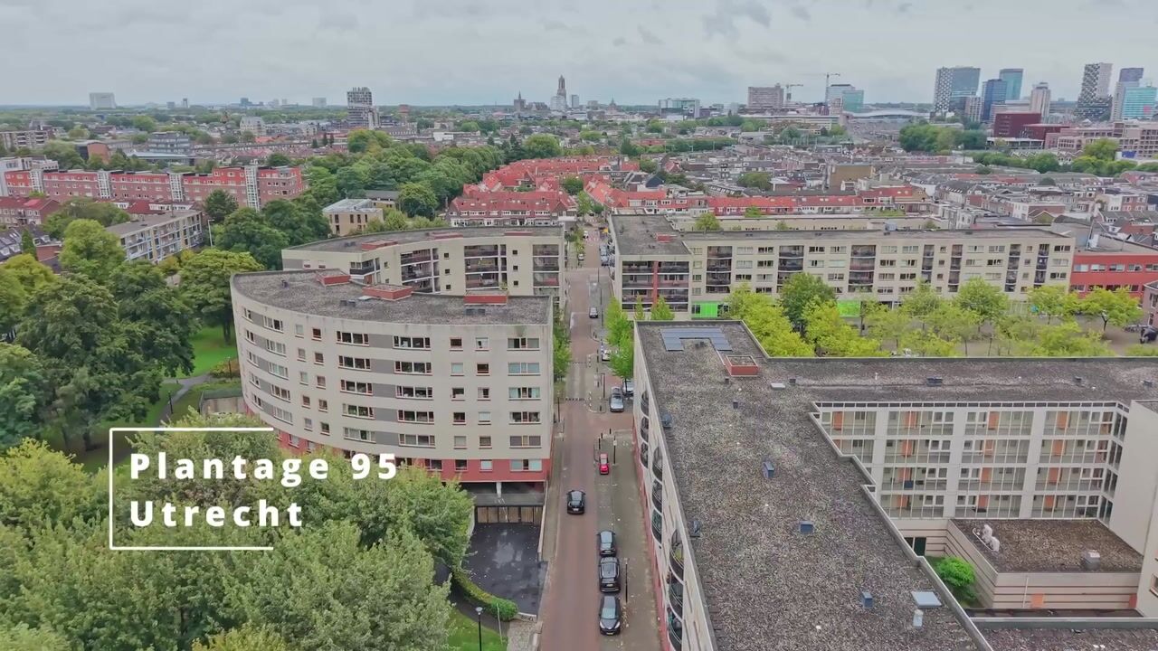 Video van Plantage 95
