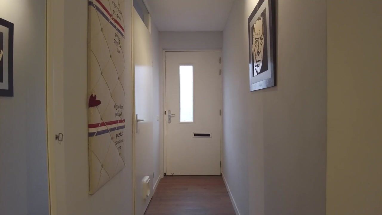 Video of Steigerdijk 81